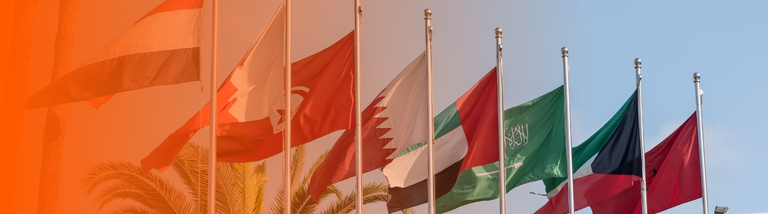 Flags of MENA (Middle East and North Africa) on a series of flagpoles, including national flags of Morocco, Kuwait, Saudi Arabia, United Arab Emirates, Qatar, Turkey, Bahrain, and Egypt.