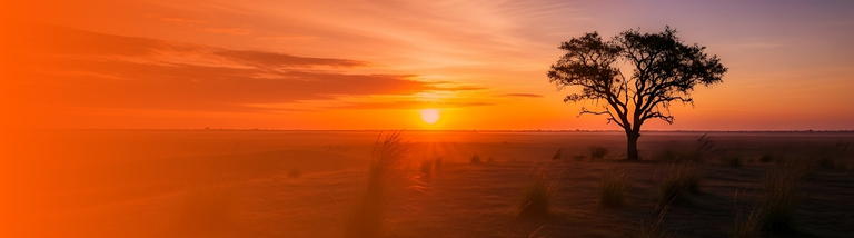 Sunset in Africa