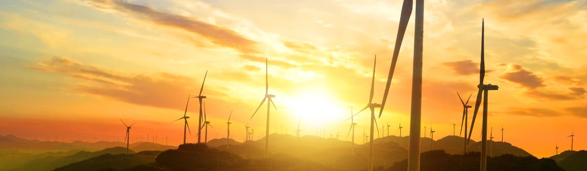 Tailoring your resume for renewable energy roles according to job description